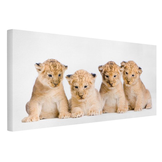 Toile chat Sweet Lion Babys