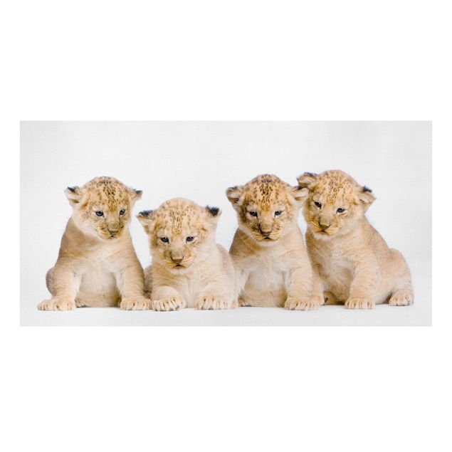 Tableaux modernes Sweet Lion Babys