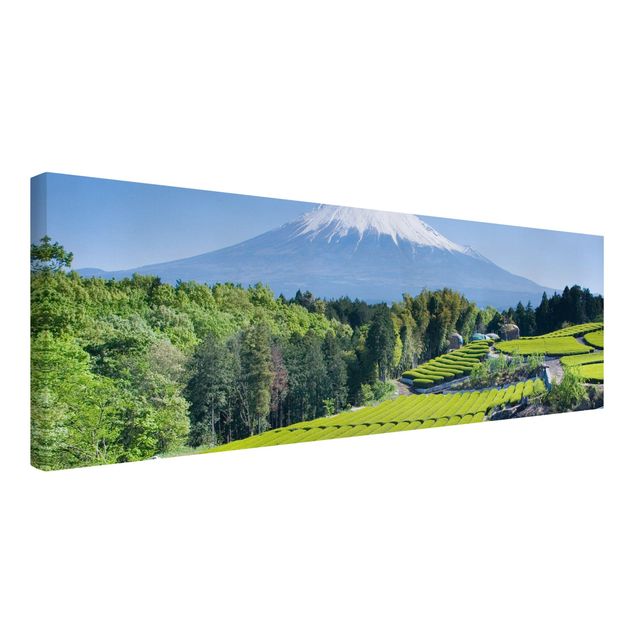 Tableau montagnes Champs de thé devant le Fuji