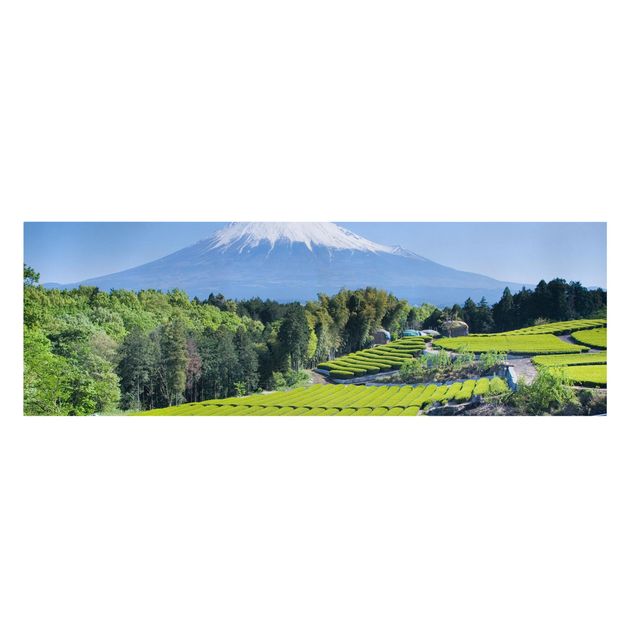 Toiles montagne Champs de thé devant le Fuji