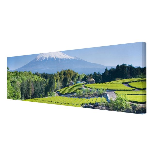Tableau moderne Champs de thé devant le Fuji