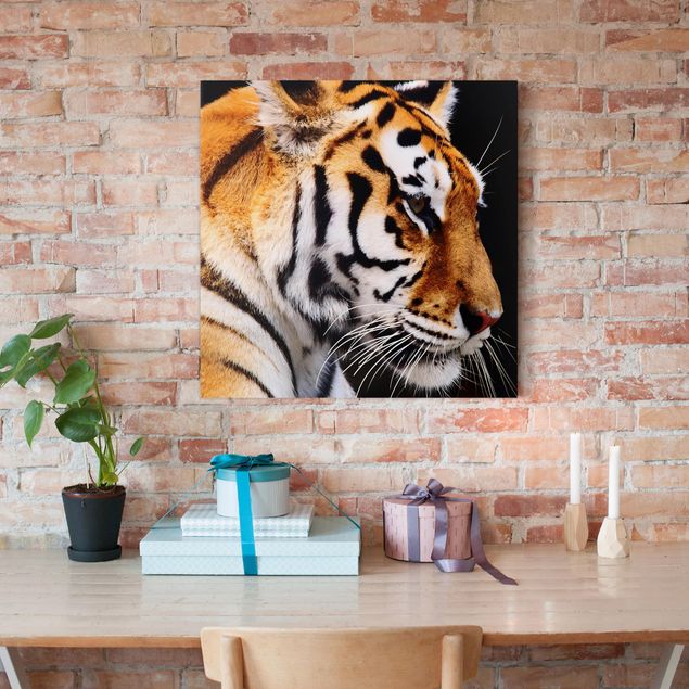 Tableau toile chat Beauté du tigre