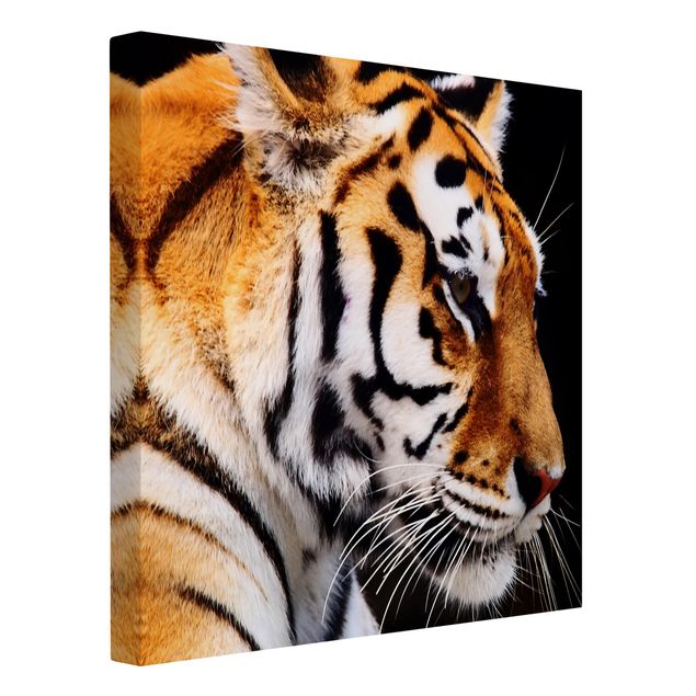 Tableau toile tigre Beauté du tigre