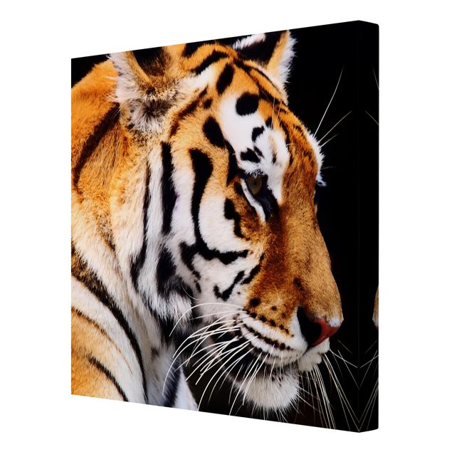 Tableau animaux Beauté du tigre
