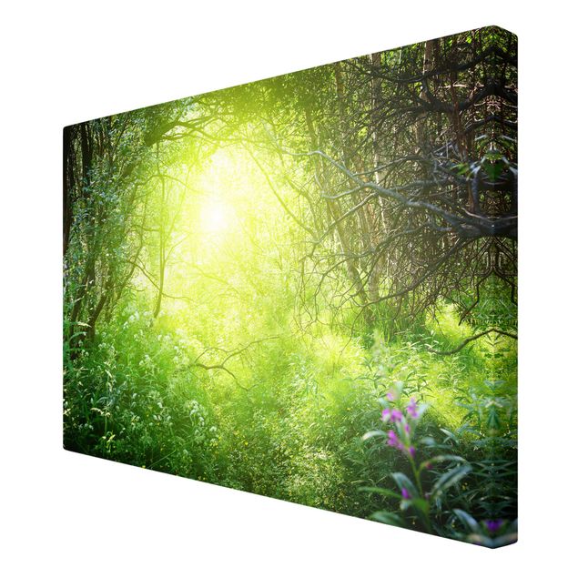 Tableau deco nature Magical Forest