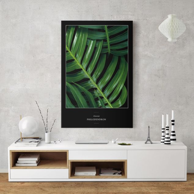 Tableau moderne Feuilles Tropicales Philodendron