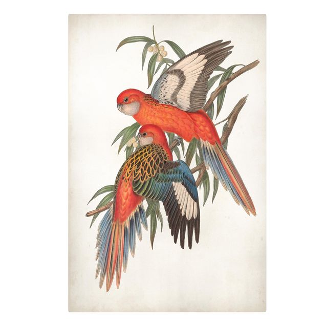 Tableau animaux Tropical Parrot I