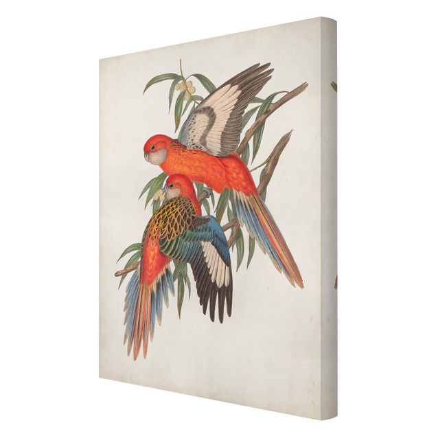 Tableau décoration Tropical Parrot I