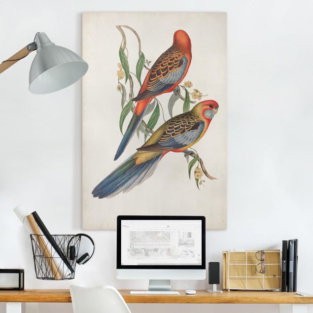 Tableaux oiseaux sur toile Tropical Parrot II