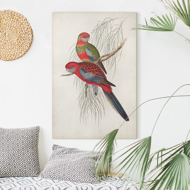 Tableaux oiseaux sur toile Tropical Parrot III