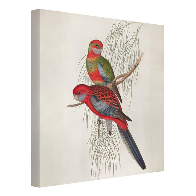 tableaux floraux Tropical Parrot III