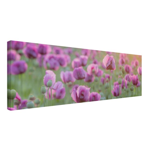Tableaux moderne Prairie de coquelicots violets au printemps