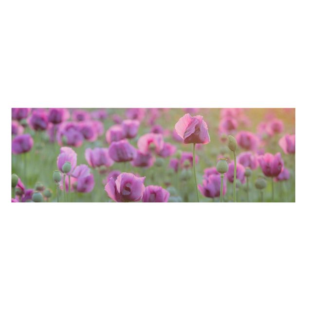 tableaux floraux Prairie de coquelicots violets au printemps
