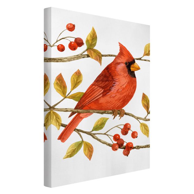 Cadre animaux Oiseaux et baies - Cardinal du Nord