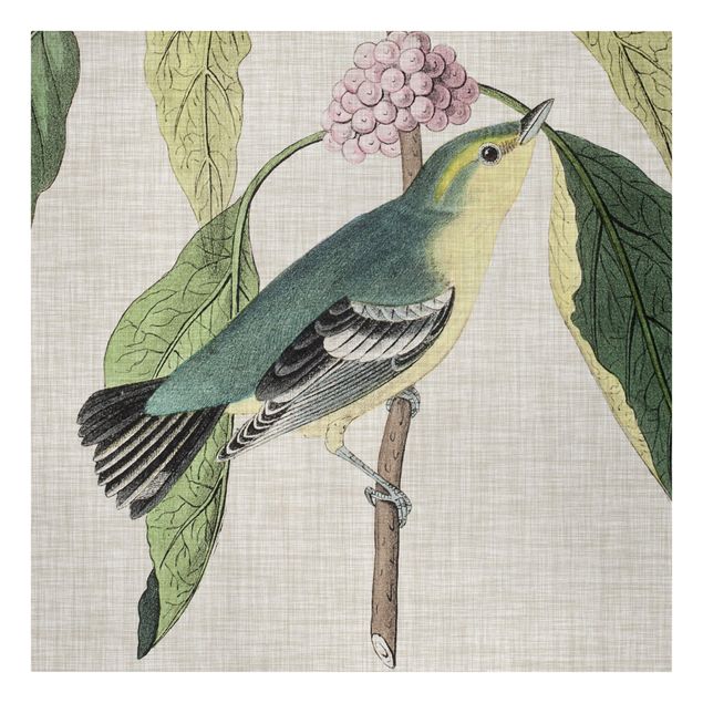 Tableaux animaux Bird On Linen Pink I