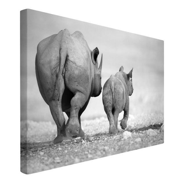 Tableau animaux afrique Rhinocéros errants II