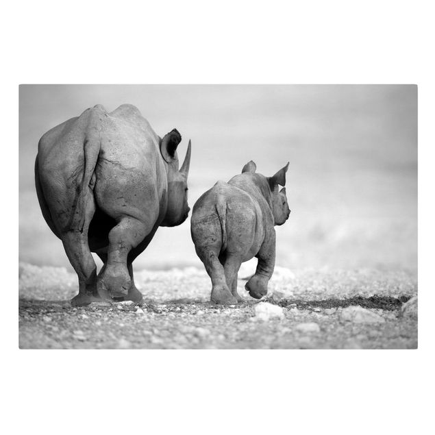 Tableaux muraux Rhinocéros errants II