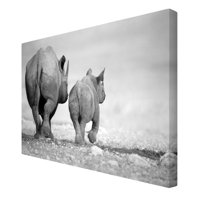 Toile murale Rhinocéros errants II