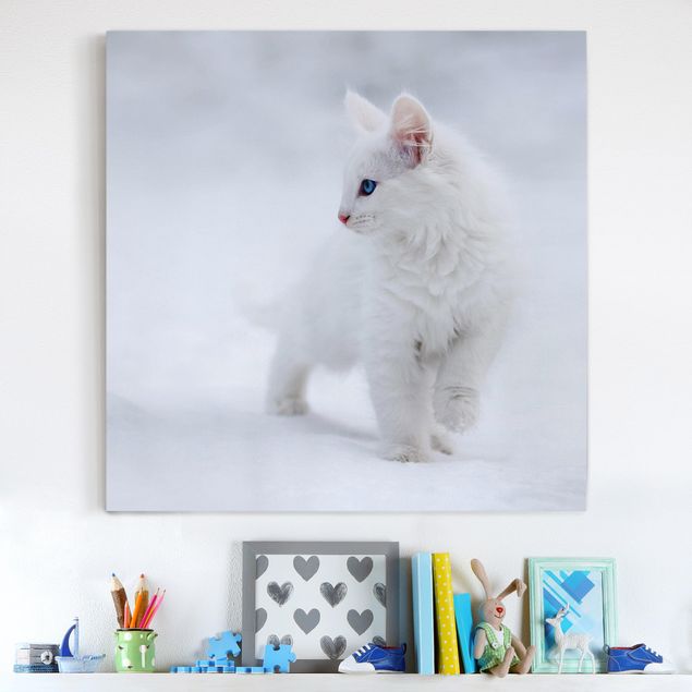 Tableaux chats Blanc comme neige
