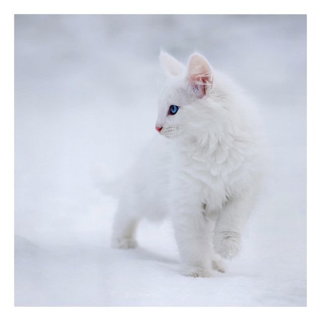 Tableaux animaux Blanc comme neige