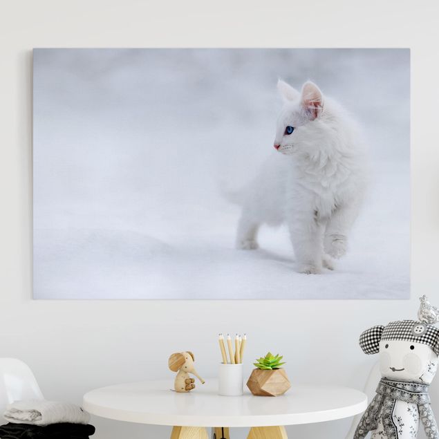 Tableaux chats Blanc comme neige