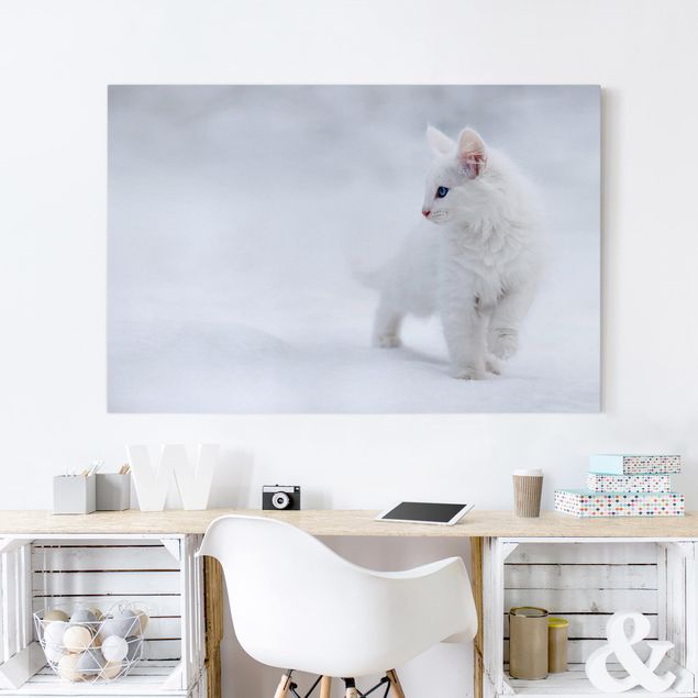 Toile chat Blanc comme neige