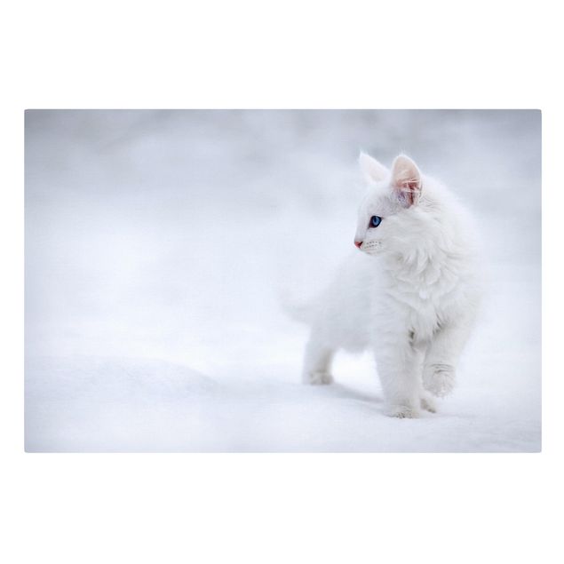 Tableaux animaux Blanc comme neige