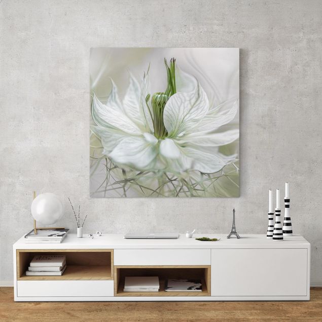 Tableaux fleurs White Nigella