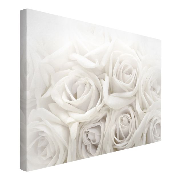 Tableaux fleurs White Roses