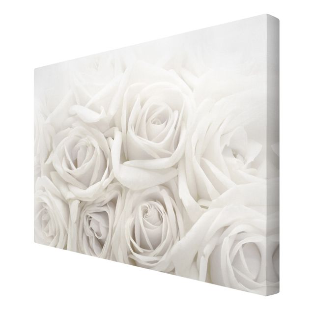 Tableaux White Roses