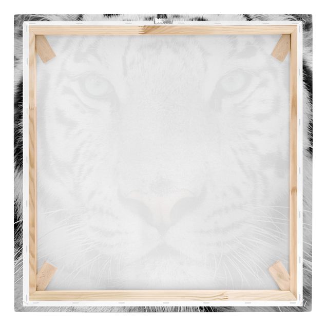 Tableaux animaux Tigre Blanc