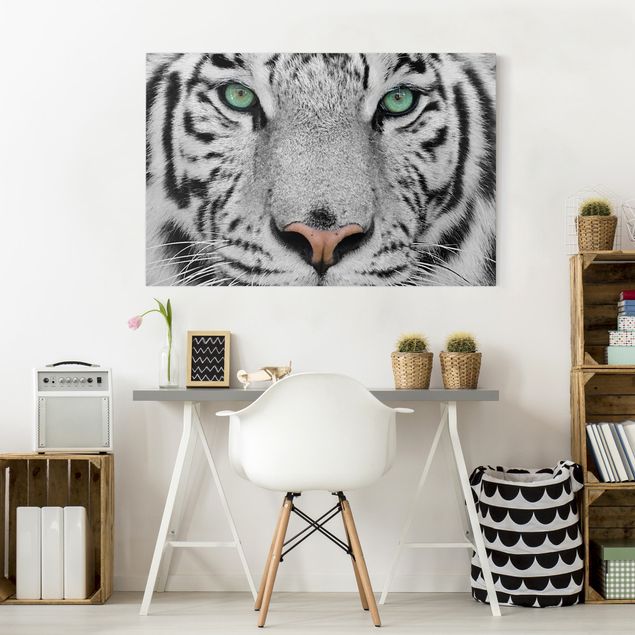 Tableaux tigres Tigre Blanc