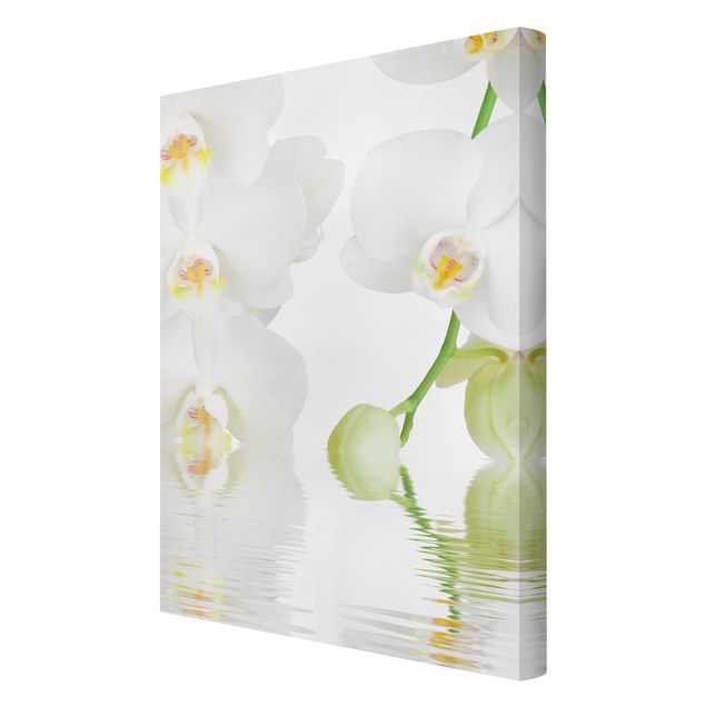 Tableau floral mural Spa Orchid - Orchidée blanche