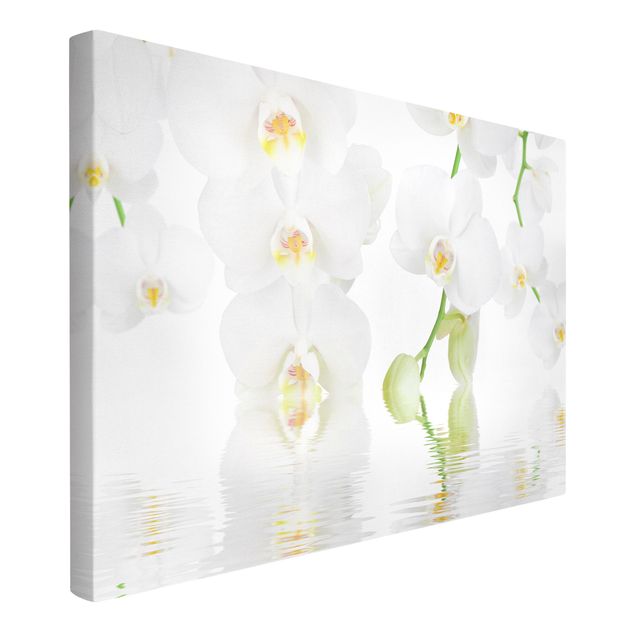 Tableaux moderne Spa Orchid - Orchidée blanche