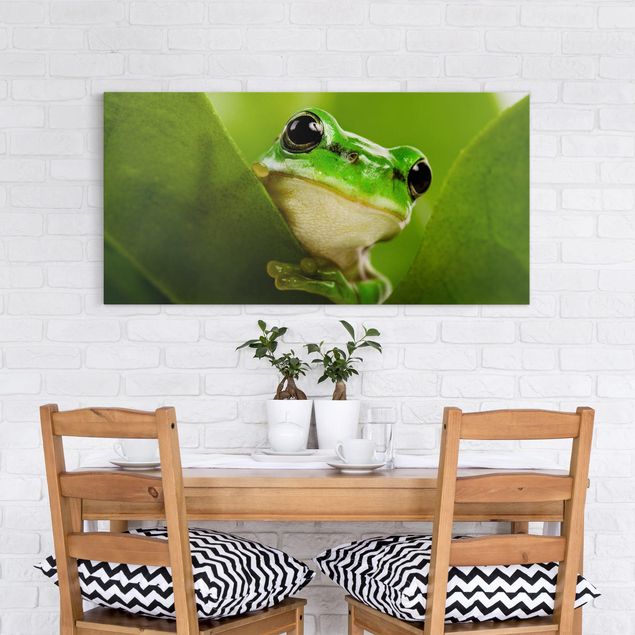Toile grenouille Frog