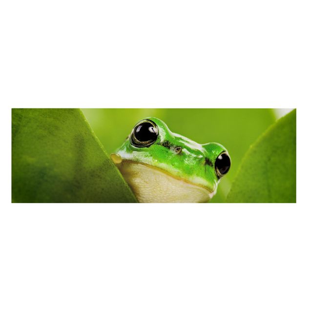 Toile animaux Frog