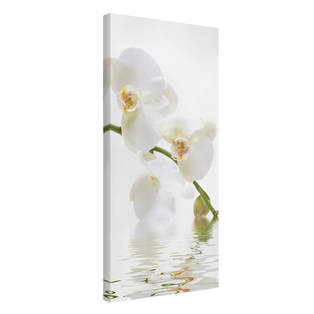 Tableaux modernes Eaux de l'Orchidée Blanche