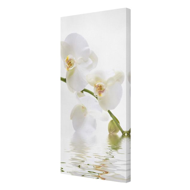 Tableaux florals Eaux de l'Orchidée Blanche