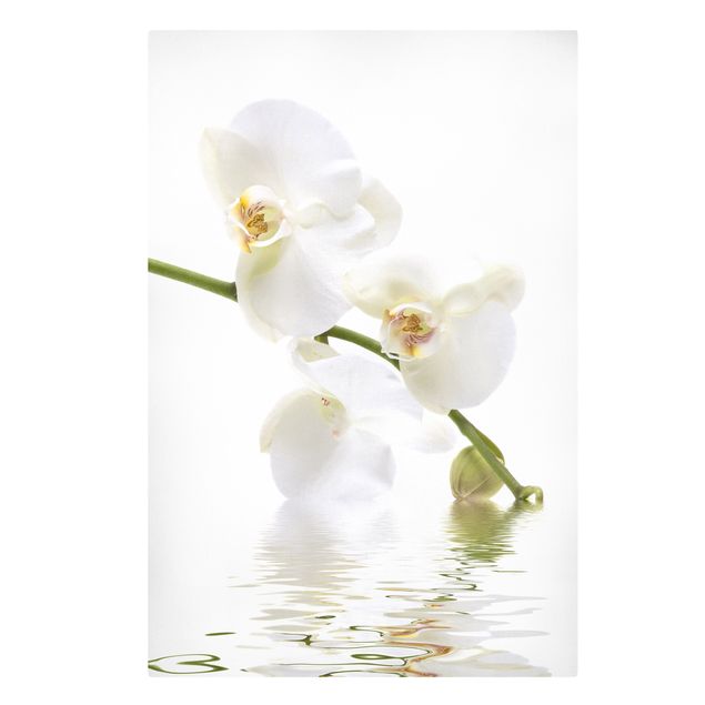 Tableaux fleurs Eaux de l'Orchidée Blanche