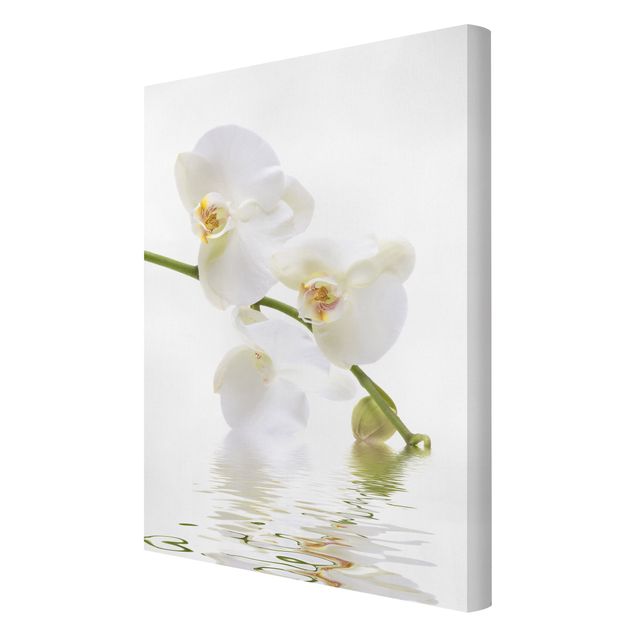 Tableaux florals Eaux de l'Orchidée Blanche