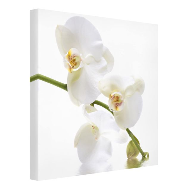 Tableaux modernes Eaux de l'Orchidée Blanche