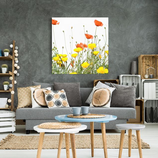 Tableau toile coquelicot Wild Flowers