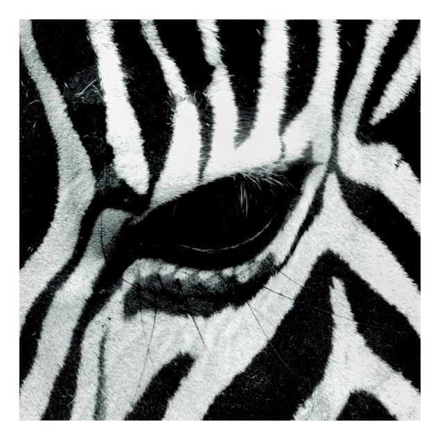 Tableaux sur toile en noir et blanc Zebra Crossing