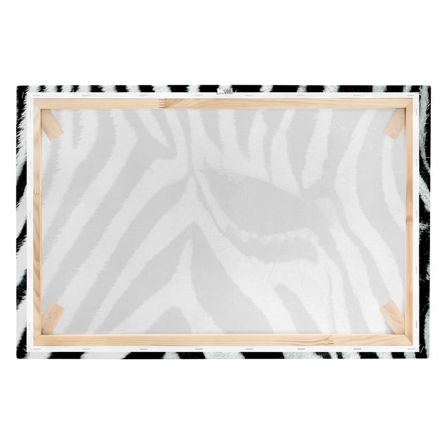 Cadre animaux Zebra Crossing