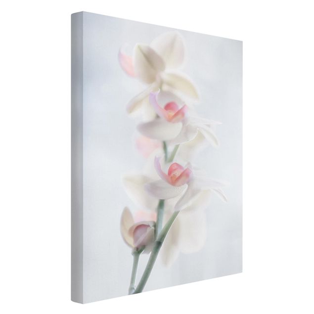 Tableaux modernes Orchidée délicate
