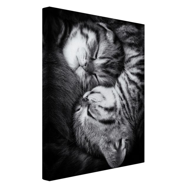 Tableau toile tigre Deux chatons