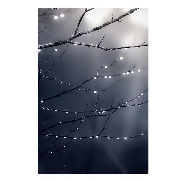 Tableau deco nature Gouttes de lumière sur une branche de bouleau