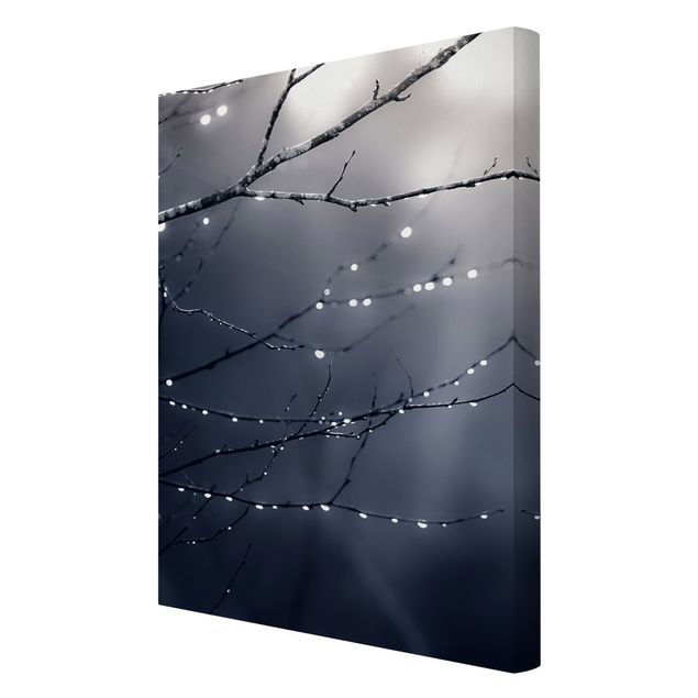 Tableau toile paysage Gouttes de lumière sur une branche de bouleau