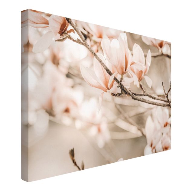 Tableau moderne Rameau de magnolia style vintage