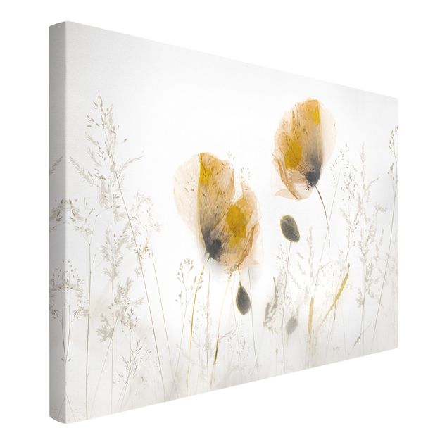 Tableau toile coquelicot Fleurs de pavot et herbes délicates dans un doux brouillard